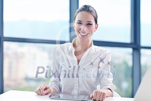 portrait of Young pretty business woman work on notebook computer in the bright modern office indoors portrait of Young pretty business woman work on notebook computer in the bright modern office indoors
