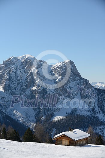 nature mountaint winter landscape nature with tree and fresh snow nature mountaint winter landscape nature with tree and fresh snow