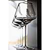 Empty very elegant wine glasses decorated on table