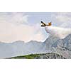 Airplane droping water on fire on island