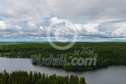 Cloudy day forest landscape seen from above