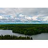 Cloudy day forest landscape seen from above