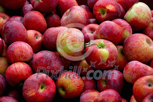 Background of fresh red apples Background of fresh red apples
