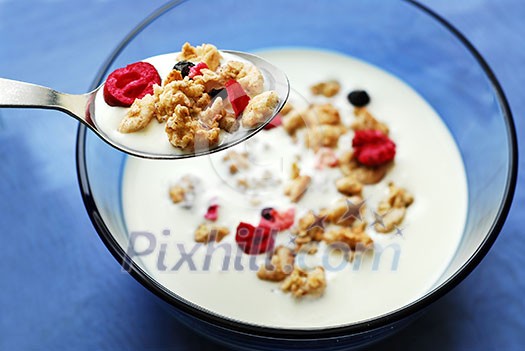 Breakfast cereal in a bowl with a spoon Breakfast cereal in a bowl with a spoon