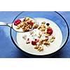 Breakfast cereal in a bowl with a spoon