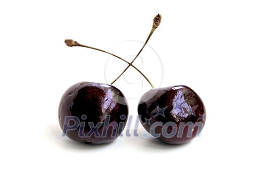 Two fresh cherries on white Two fresh cherries on white