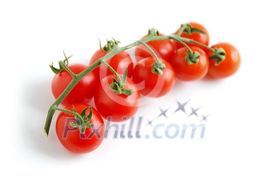 Cherry tomatoes on white background Cherry tomatoes on white background