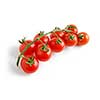 Cherry tomatoes on white background