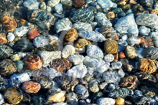 Colorful rounded pebble in clear water with sun reflections Colorful rounded pebble in clear water with sun reflections