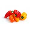 Colorful peppers on white background
