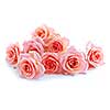 Pile of pink rose blossoms on white background