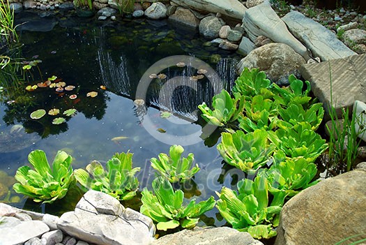 Natural stone pond as landscaping design element Natural stone pond as landscaping design element