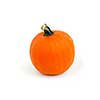 Mini pumpkin on white background