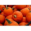 Bright orange cooking pumpkins for sale