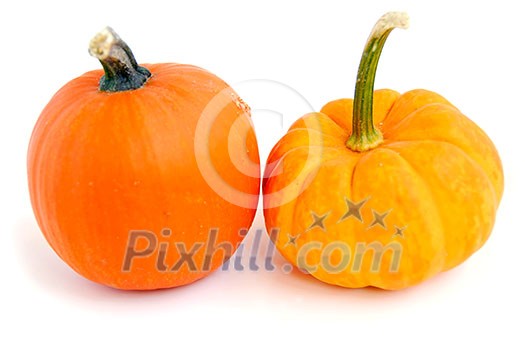 Two mini pumpkins on white background Two mini pumpkins on white background