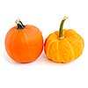 Two mini pumpkins on white background