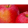 Macro of red apples with water droplets 