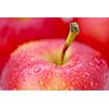 Macro of red apples with water droplets