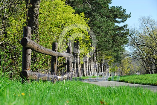 Spring park with cycling path Spring park with cycling path
