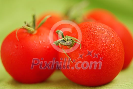 Several fresh dewy tomatoes close up on green background Several fresh dewy tomatoes close up on green background