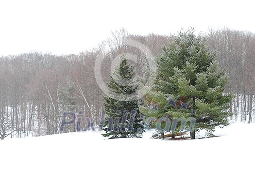 Winter landscape during snowfall Winter landscape during snowfall