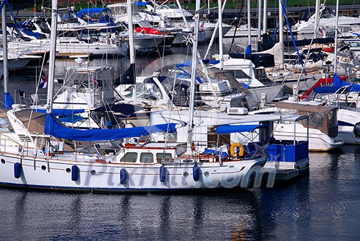 Rows of luxury yachts anchored in Boston harbor. Names and trademark are revomed. Rows of luxury yachts anchored in Boston harbor. Names and trademark are revomed.
