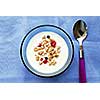 Breakfast cereal in a bowl