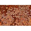 Rusty metal abstract background