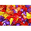 Background of colorful flower petals