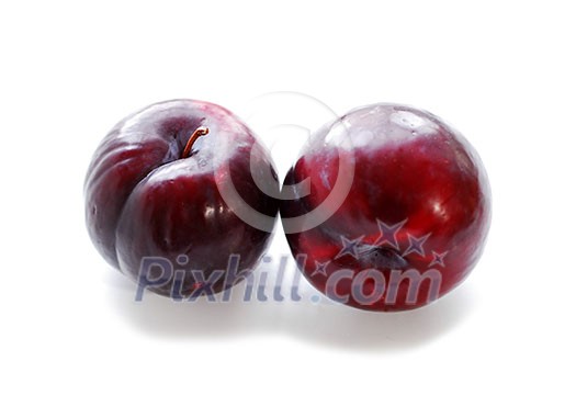 Two purple plums on white background Two purple plums on white background
