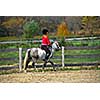Young girl riding a white pony at countryside