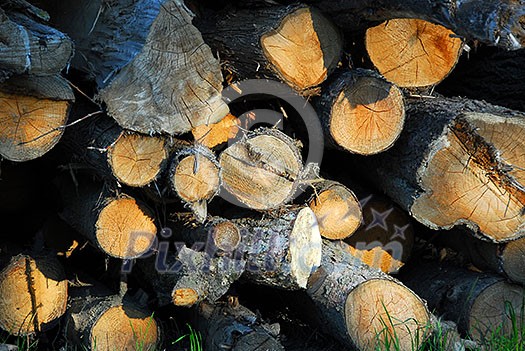 Background of stacked logs lit by evening sun Background of stacked logs lit by evening sun