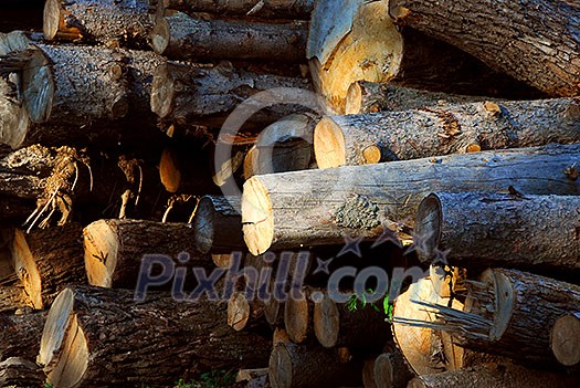 Background of stacked logs lit by evening sun, side view Background of stacked logs lit by evening sun, side view