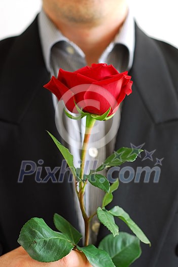Man in black suit holding a red rose Man in black suit holding a red rose