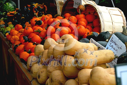 Fall farmers market Fall farmers market
