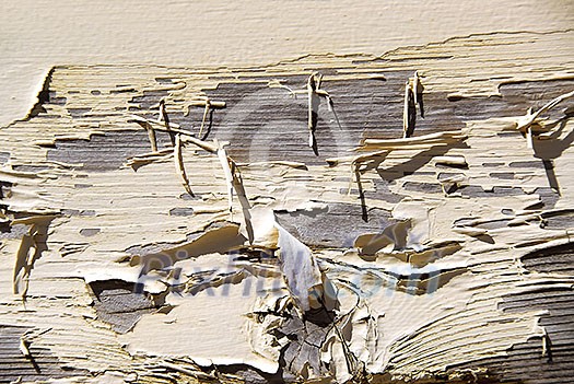 Background of old wood with peeling paint Background of old wood with peeling paint