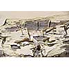 Background of old wood with peeling paint