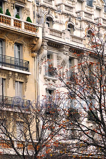Fragment of a Paris building with autumn trees Fragment of a Paris building with autumn trees