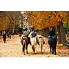 Children riding ponies in Jardins du Luxembourg (Luxembourg gardens) in Paris France