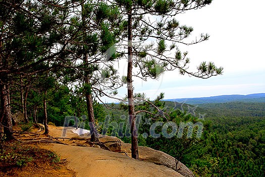 Forest trail on pine cliffs in Algonquin provincial park in Canada Forest trail on pine cliffs in Algonquin provincial park in Canada