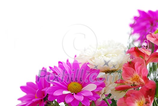 Bouquet of fresh flowers on white background with copy space Bouquet of fresh flowers on white background with copy space