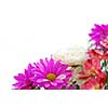 Bouquet of fresh flowers on white background with copy space