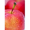 Macro of red apples with water droplets