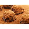Macro image of dark chocolate truffles sprinkled with cocoa powder