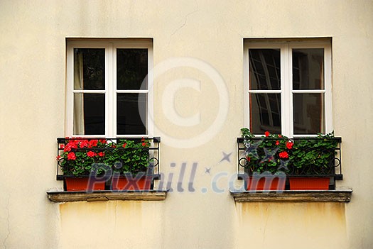 Windows with flower boxes in Paris France Windows with flower boxes in Paris France
