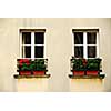 Windows with flower boxes in Paris France