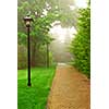 Path in a green foggy park in the spring