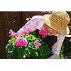 Senior woman with a pot of geranuim flowers in her garden, focus on flowers