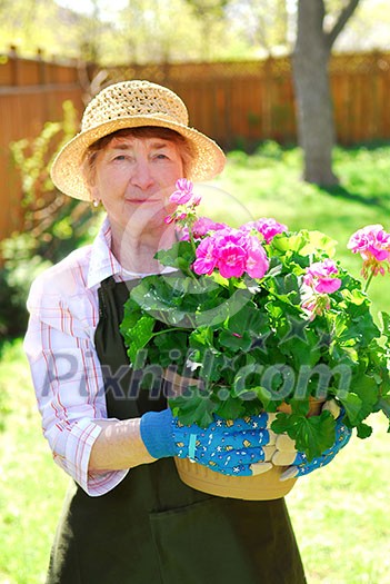 Senior woman holding a pot with flowers in her garden, shallow dof, focus on flowers