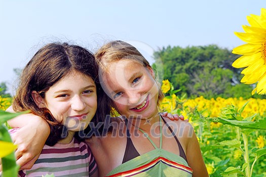 Portrait of two young girls in a sunflower field Portrait of two young girls in a sunflower field